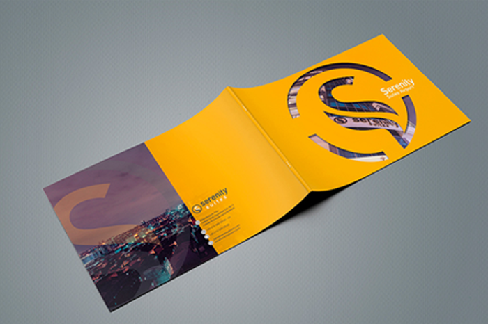https://trendreklam.com/project/packacing-mockups/